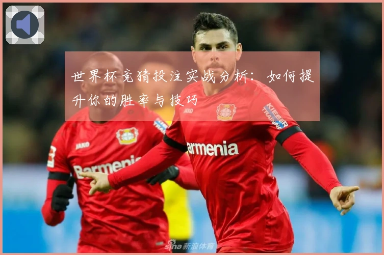 世界杯竞猜投注实战分析：如何提升你的胜率与技巧