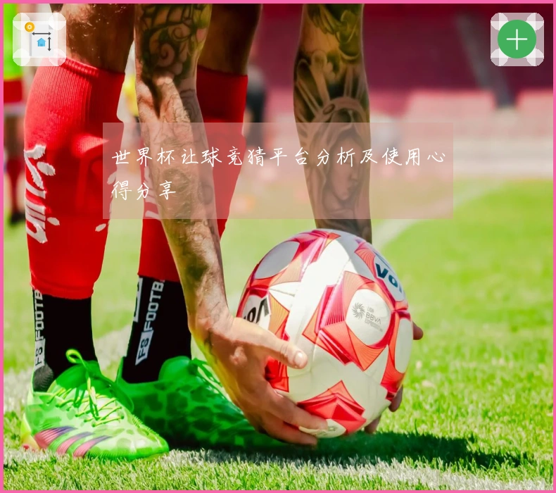 世界杯让球竞猜平台分析及使用心得分享