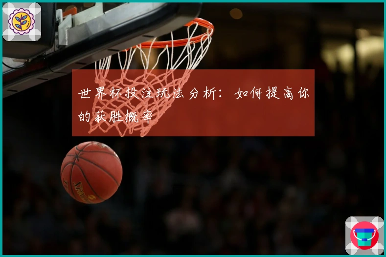 世界杯投注玩法分析：如何提高你的获胜概率