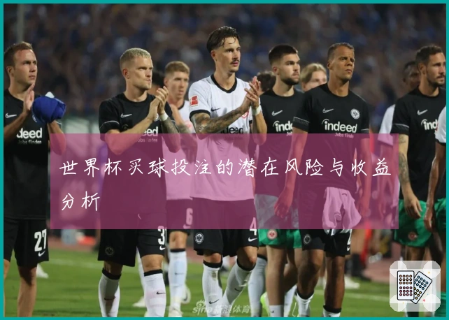 世界杯买球投注的潜在风险与收益分析