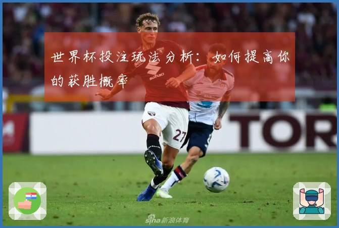 世界杯投注玩法分析：如何提高你的获胜概率