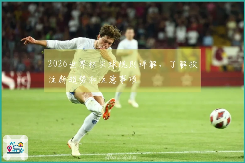 2026世界杯买球规则详解，了解投注新趋势和注意事项