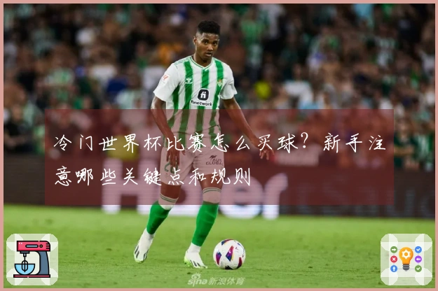 冷门世界杯比赛怎么买球？新手注意哪些关键点和规则