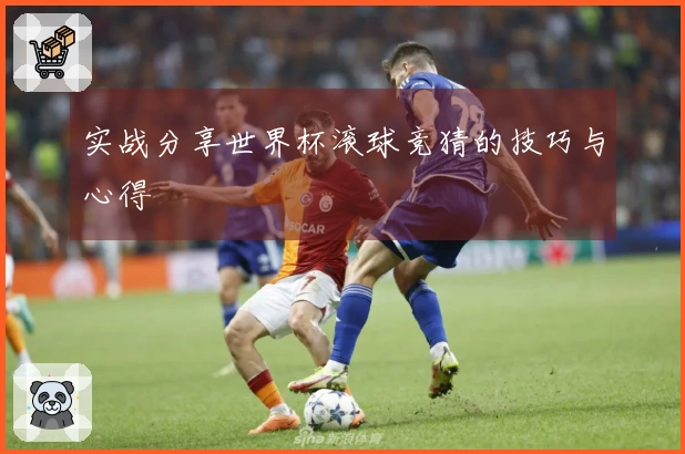 实战分享世界杯滚球竞猜的技巧与心得