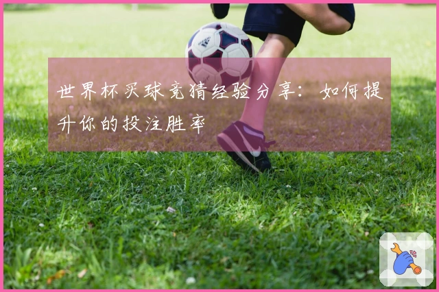 世界杯买球竞猜经验分享：如何提升你的投注胜率