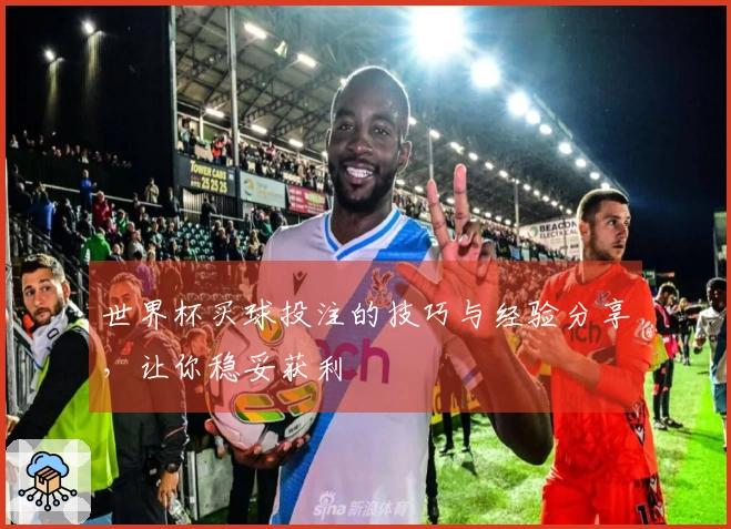 世界杯买球投注的技巧与经验分享，让你稳妥获利
