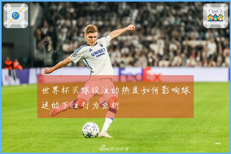 世界杯买球投注的热度如何影响球迷的下注行为分析