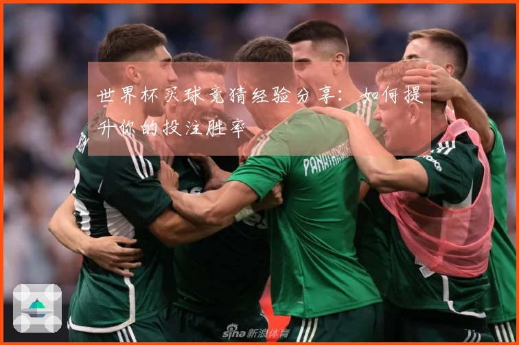 世界杯买球竞猜经验分享：如何提升你的投注胜率