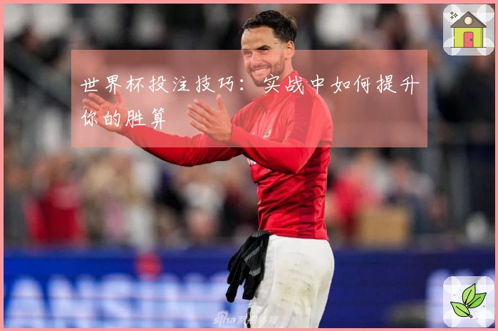 世界杯投注技巧：实战中如何提升你的胜算