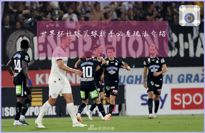 世界杯让球买球新手必看玩法介绍