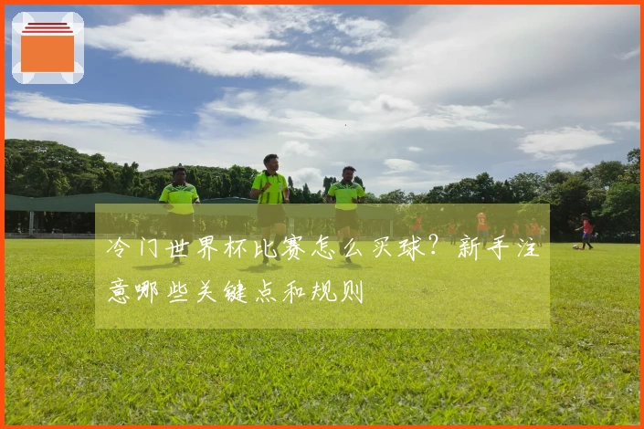 冷门世界杯比赛怎么买球?新手注意哪些关键点和规则