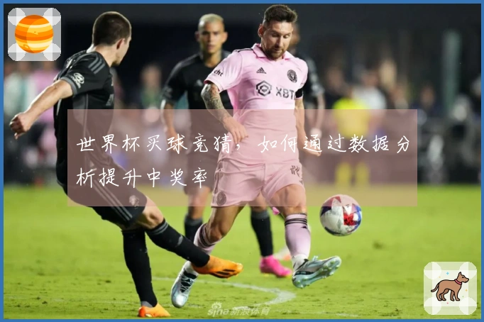 世界杯买球竞猜，如何通过数据分析提升中奖率