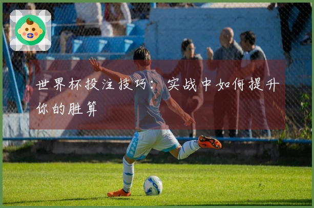 世界杯投注技巧：实战中如何提升你的胜算