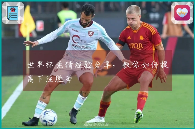 世界杯竞猜经验分享，教你如何提高下注胜率